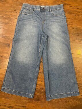 Spanx Jeans Pull On Wide Leg Sz 3X
